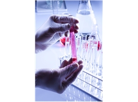Molecular biology solvents