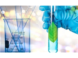 Proline derivatives