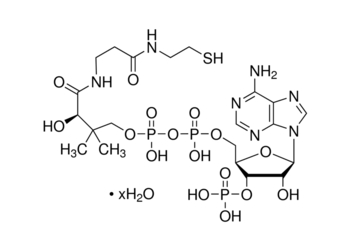 C 0513