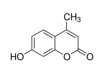 90-33-5