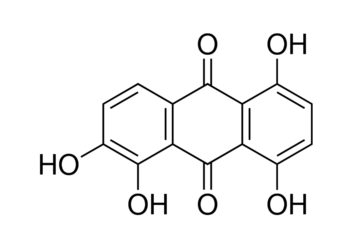 81-61-8