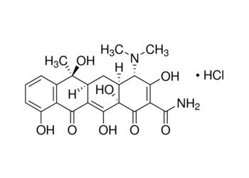 T 0881